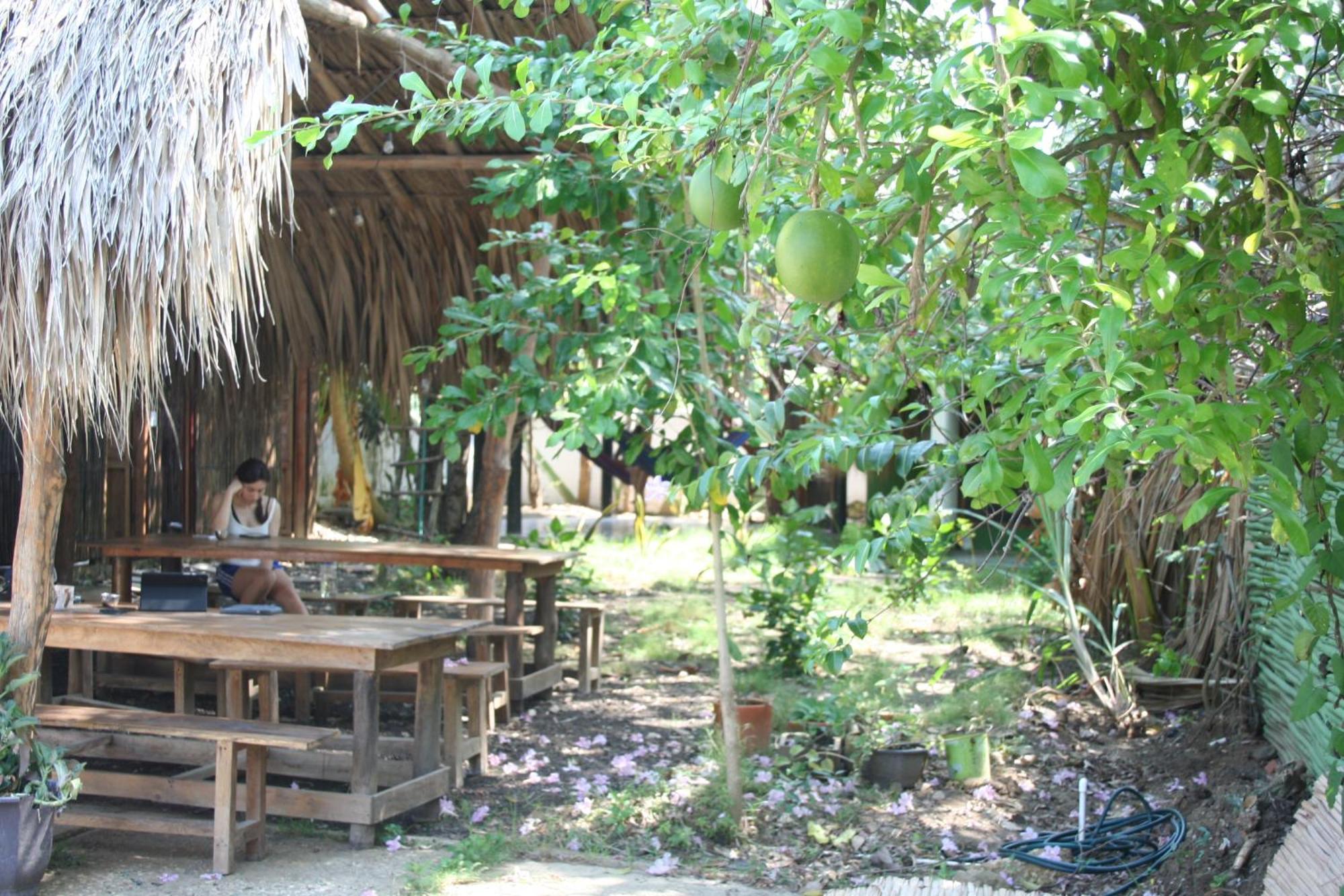 Hostel Nugeku Rincón Exteriér fotografie